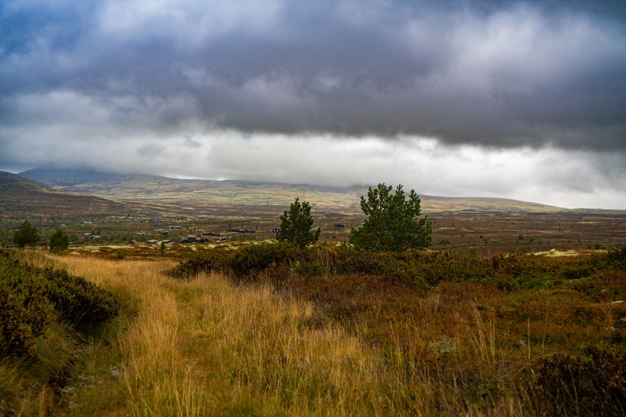 Moorland under a heavy grey sky