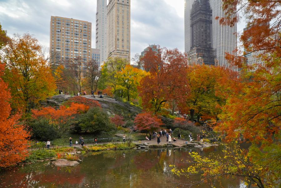 A pond in a city park with autumn trees and towers behind