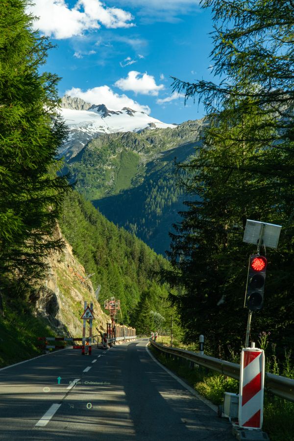A mountain road through pine trees toward a snowy peak