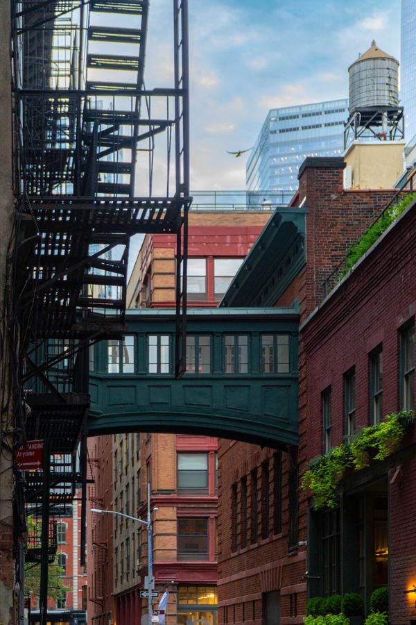 A green skybridge between brick buildings, with fire escapes and a water tower